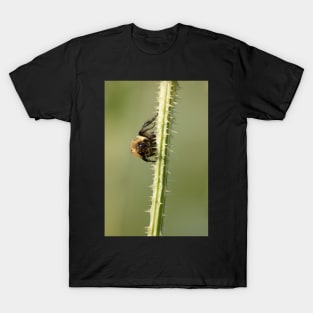 Buzz Off! T-Shirt